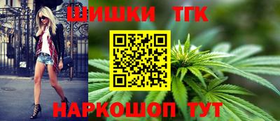 ешки Новодвинск