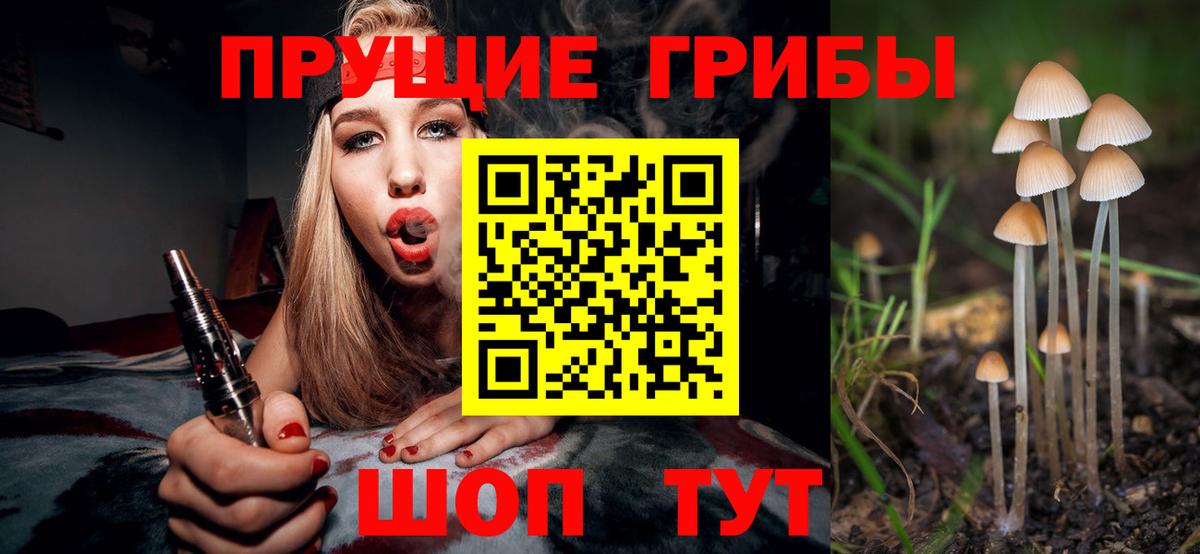 Старая Купавна  Псилоцибиновые грибы Cubensis  Галлюциногенные грибы Cubensis  Вход с VPN 